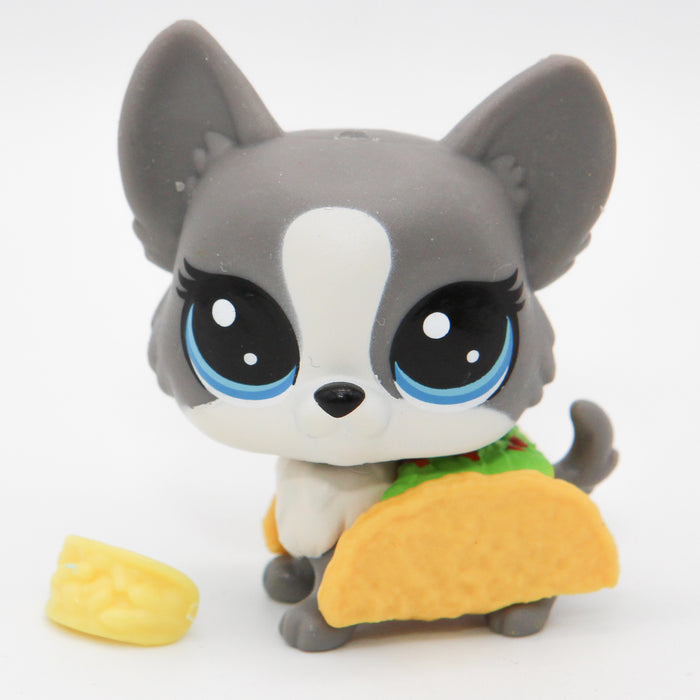Littlest Petshop Corgi koira #3-85