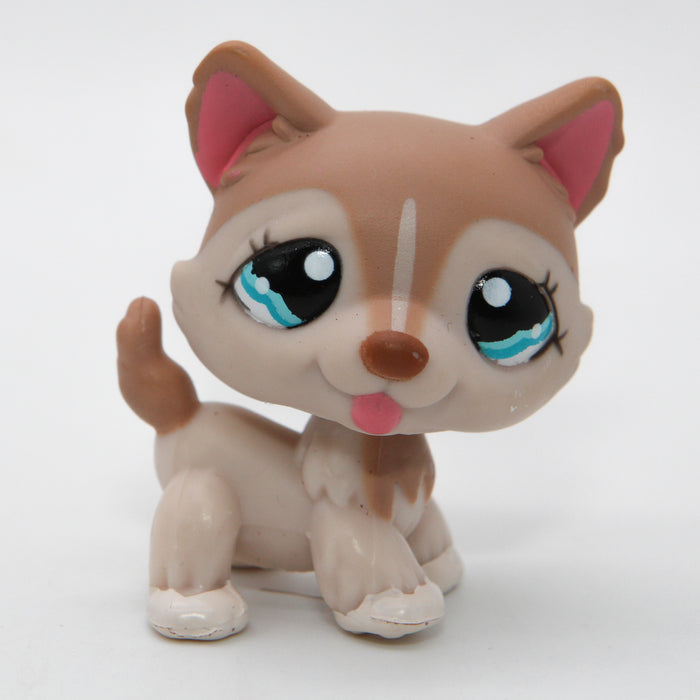 Littlest Petshop Husky koira #1012
