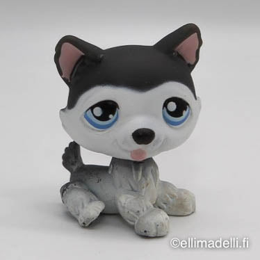 Littlest Petshop Husky #210