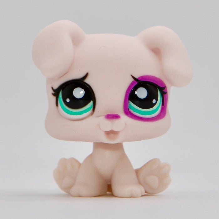 Littlest Petshop Jack Russell pentu #1534