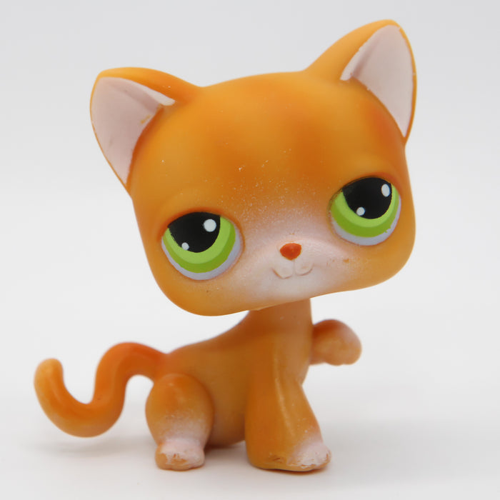 Littlest Petshop Kissa #11