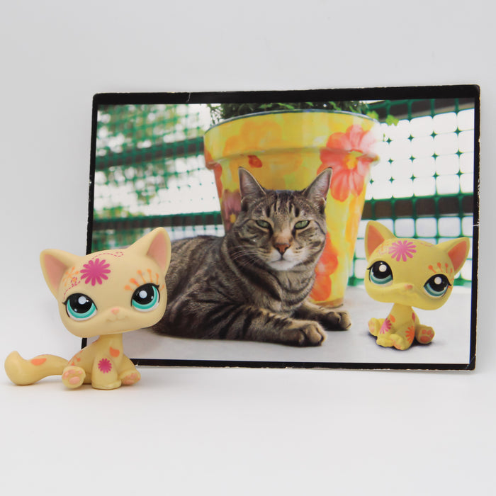 Littlest Petshop Kissa #1231