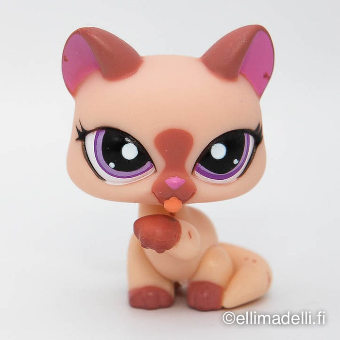 Littlest Petshop Kissa #1626