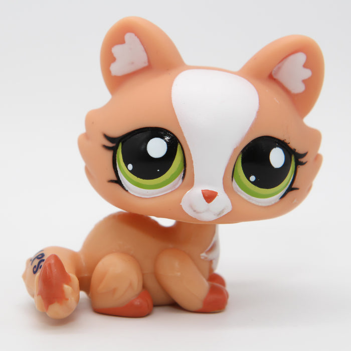 Littlest Petshop Kissa #1868