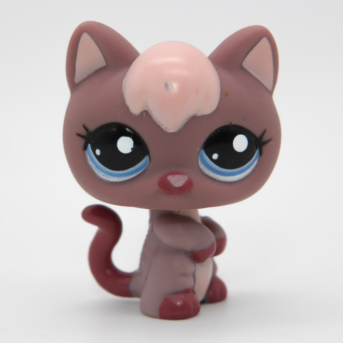 Littlest Petshop Kissa #2285