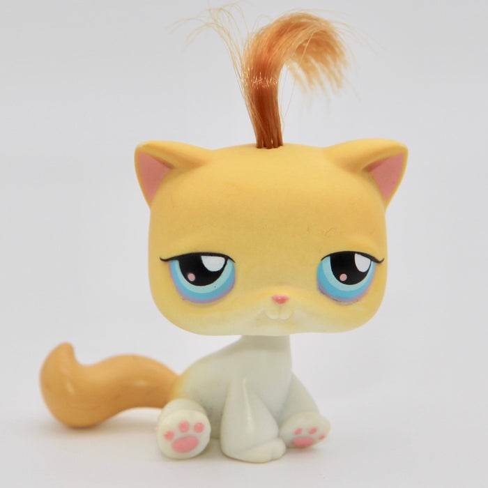 Littlest Petshop Kissa #42
