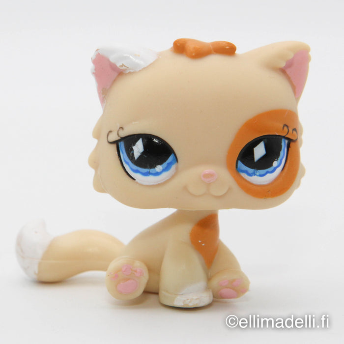 Littlest Petshop Kissa #521