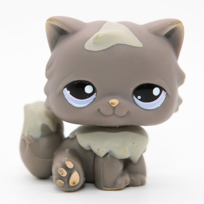 Littlest Petshop Kissa #973
