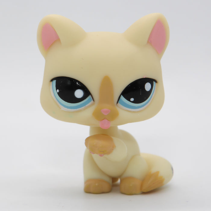 Littlest Petshop Kissa #981