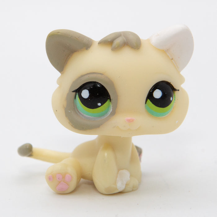 Littlest Petshop Kissa pentu #1074