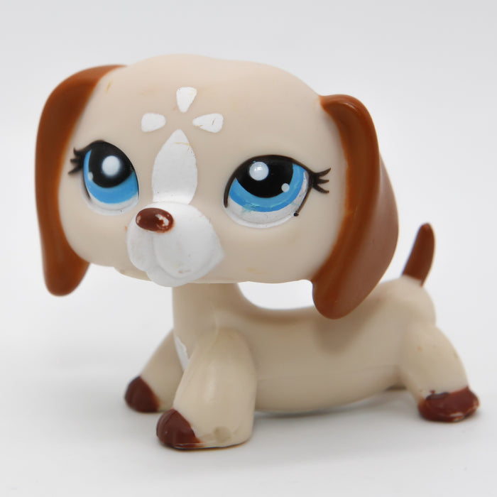 Littlest Petshop Mäyräkoira #1491