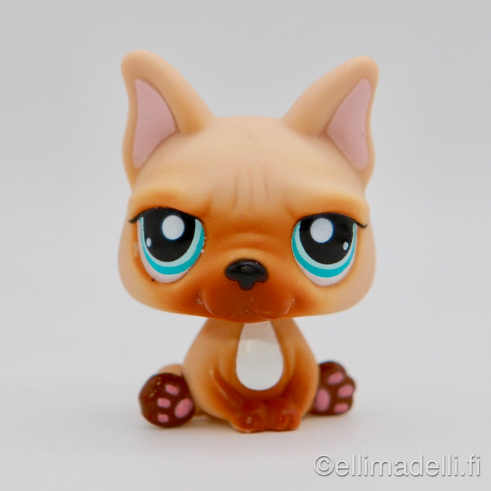 Littlest Petshop Ranskan Bulldog #1847
