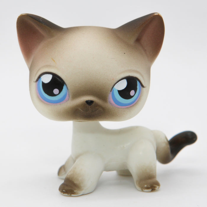 Littlest Petshop Siamilainen Kissa #5