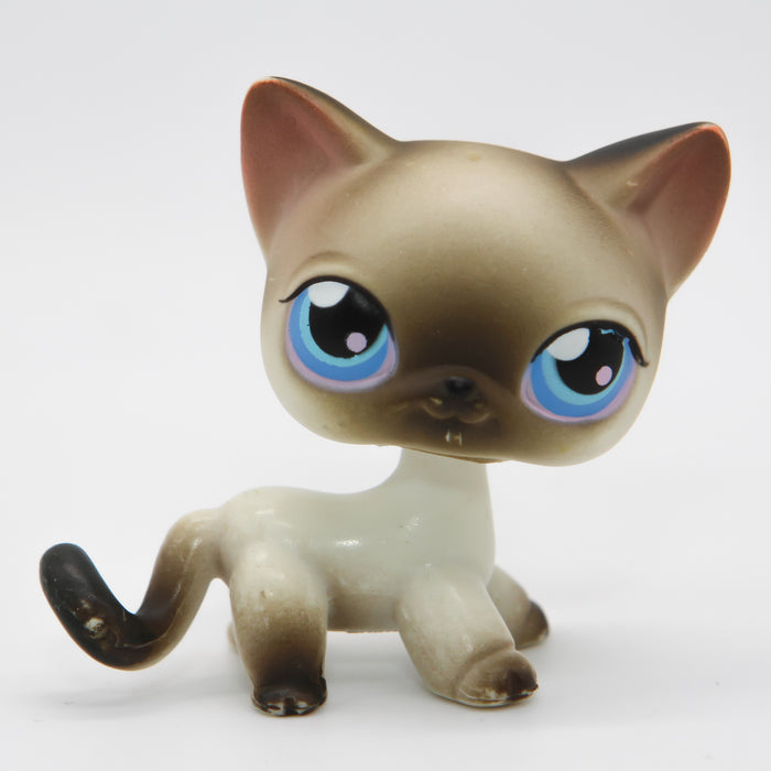 Littlest Petshop Siamilainen Kissa #5