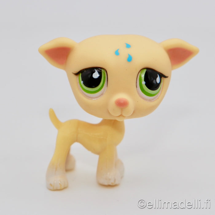 Littlest Petshop Vinttikoira #875