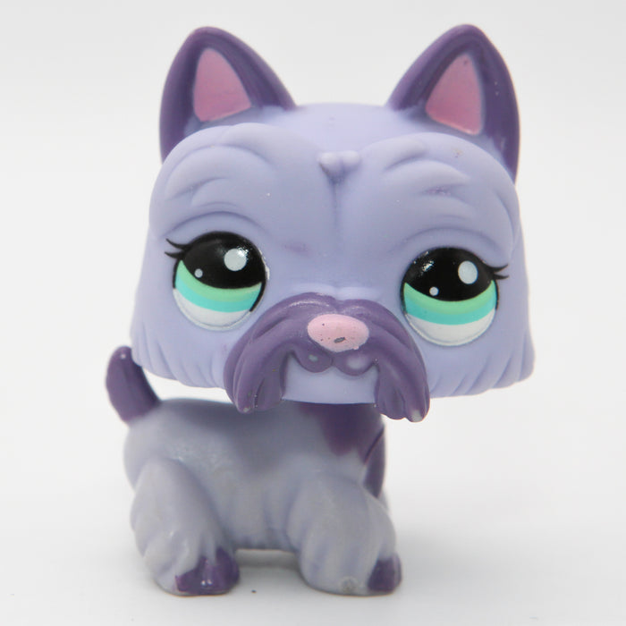 Littlest Petshop Ylämaanterrieri #2241