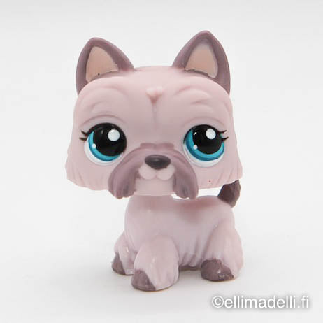 Littlest Petshop Ylämaanterrieri #1201