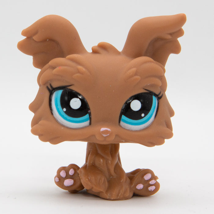 Littlest Petshop Yorkshiren terrieri #2004