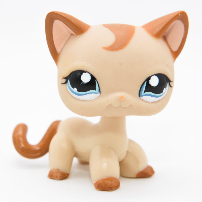 Littlest Petshop seisova Kissa #1023