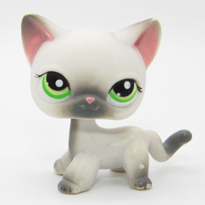 Littlest Petshop seisova Kissa #125