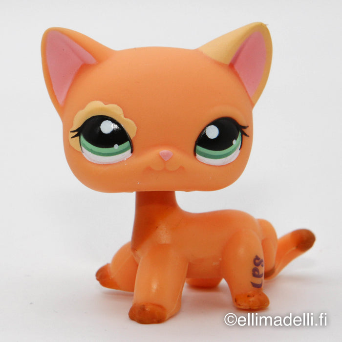 Littlest Petshop seisova Kissa #1643