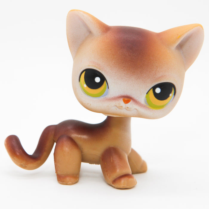 Littlest Petshop seisova Kissa #19