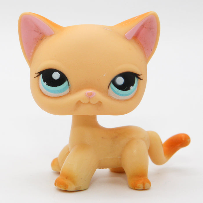 Littlest Petshop seisova Kissa #339
