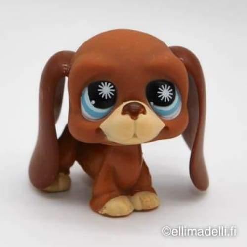 Littlest Petshop Basset #808 - Littlest Petshop