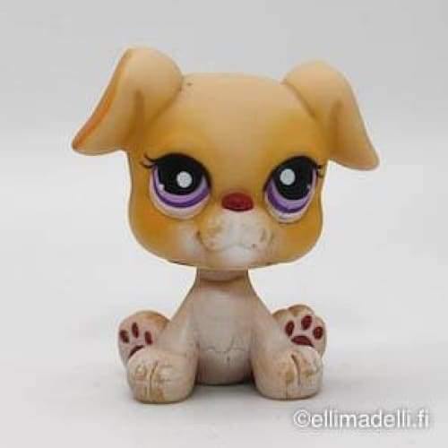 Littlest Petshop Bokseri pentu #451 - Littlest Petshop