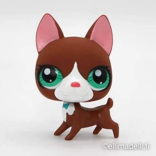 Littlest Petshop Bostoninterrieri #3174 - Littlest Petshop