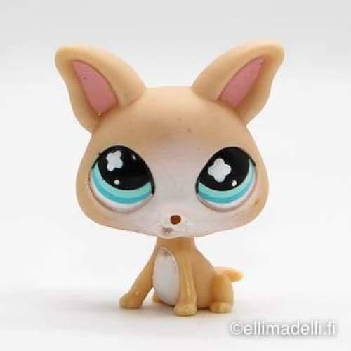 Littlest Petshop Chihuahua #837 - Littlest Petshop