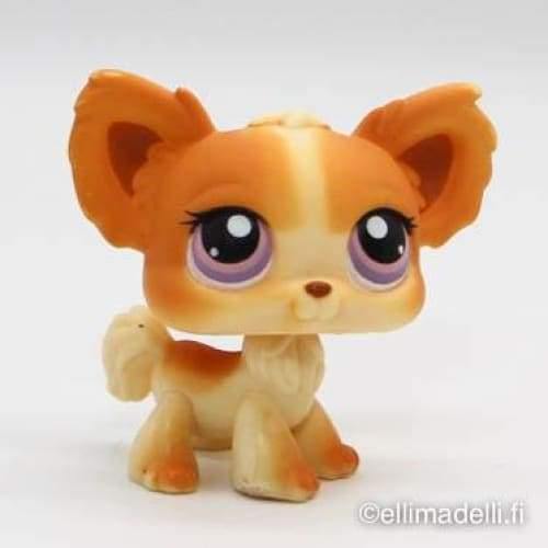 Littlest Petshop Chihuahua #96