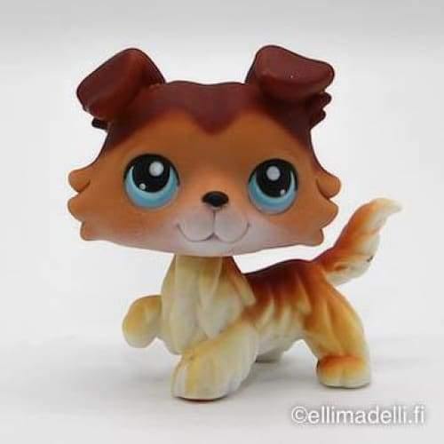 Littlest Petshop Collie #58 - Littlest Petshop