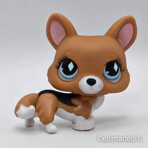Littlest Petshop Corgi koira #724 - Littlest Petshop