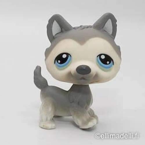 Littlest Petshop Husky #69 - Littlest Petshop