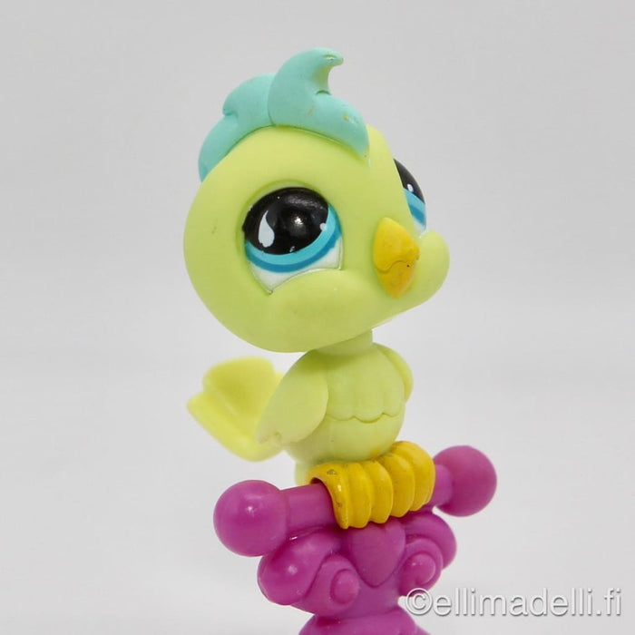 Littlest Petshop Kakadu #858 - Littlest Petshop