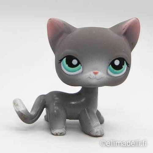 Littlest Petshop Kissa #126 - Littlest Petshop