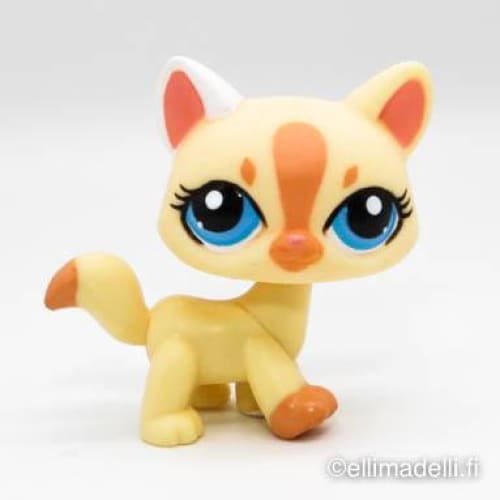 Littlest Petshop Kissa #1546 - Littlest Petshop