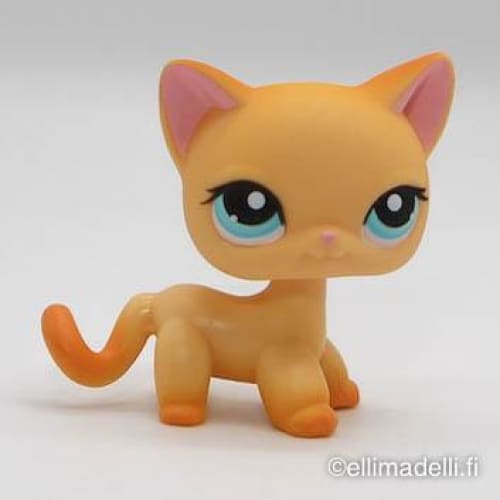 Littlest Petshop Kissa #339 - Littlest Petshop