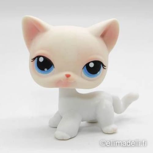 Littlest Petshop Kissa #64 - Littlest Petshop