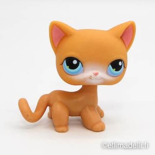 Littlest Petshop Kissa #71 - Littlest Petshop