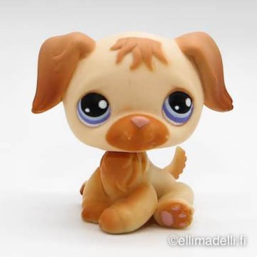 Littlest Petshop Kultainen noutaja #286 - Littlest Petshop