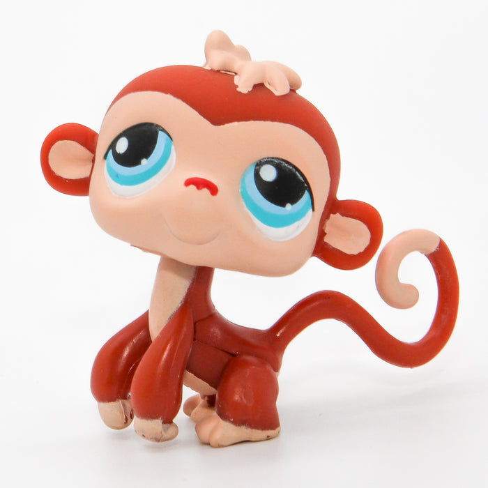Littlest Petshop Apina #304