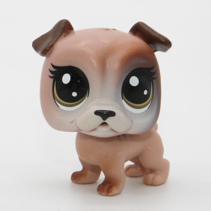 Littlest Petshop Bulldog koira #85