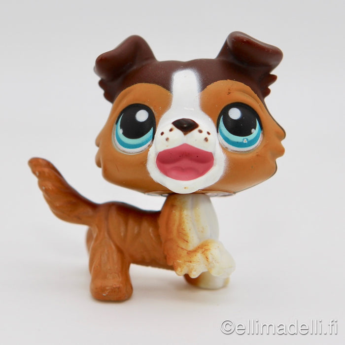 Littlest Petshop Collie koira #237