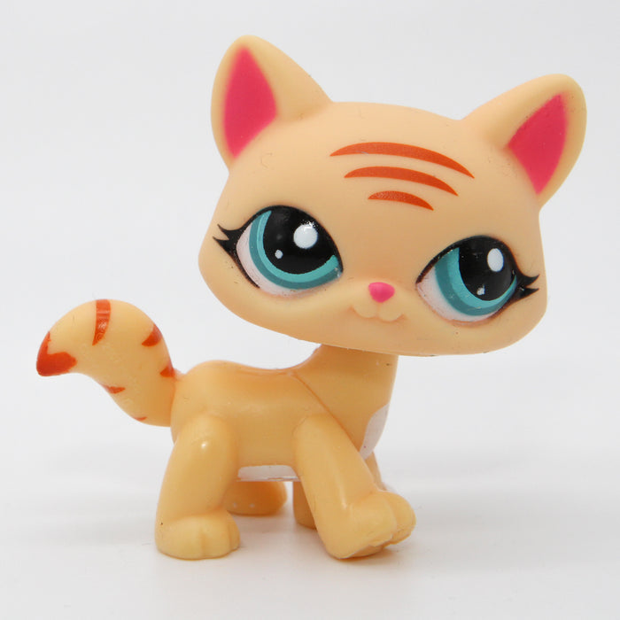 Littlest Petshop Kissa #1572