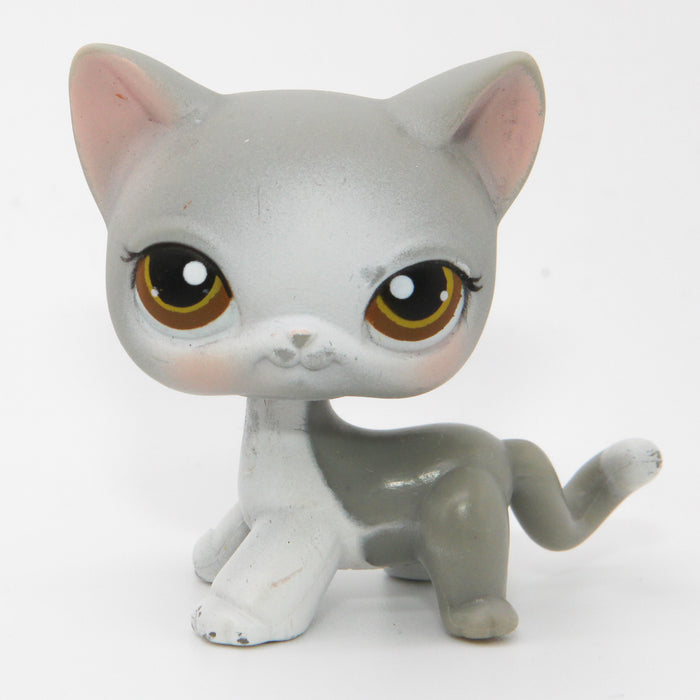 Littlest Petshop seisova Kissa #138