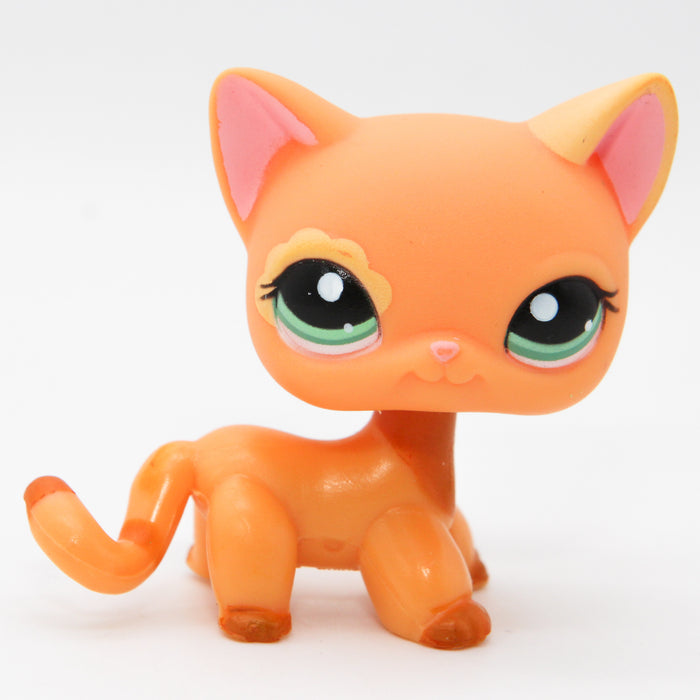 Littlest Petshop seisova Kissa #1643