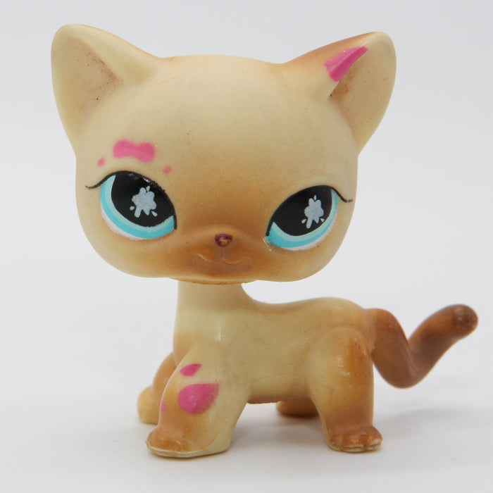 Littlest Petshop seisova Kissa #816