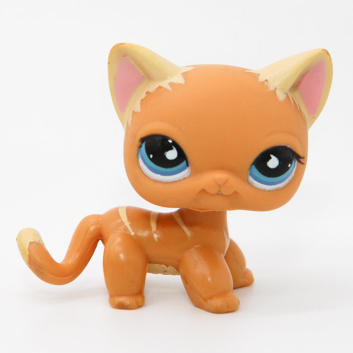 Littlest Petshop seisova Kissa No# puzzle